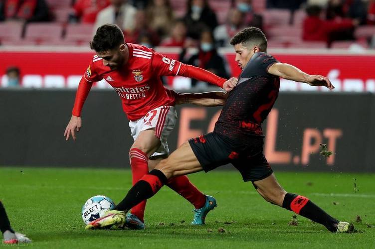 赛后多伦多猛龙备战葡超;状态回暖细节曝光;媒体盛赞;纪律约束更严格-天博娱乐